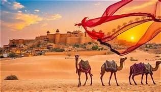 Royal Rajasthan Private Trip — Forts & Desert Excursion photo 3