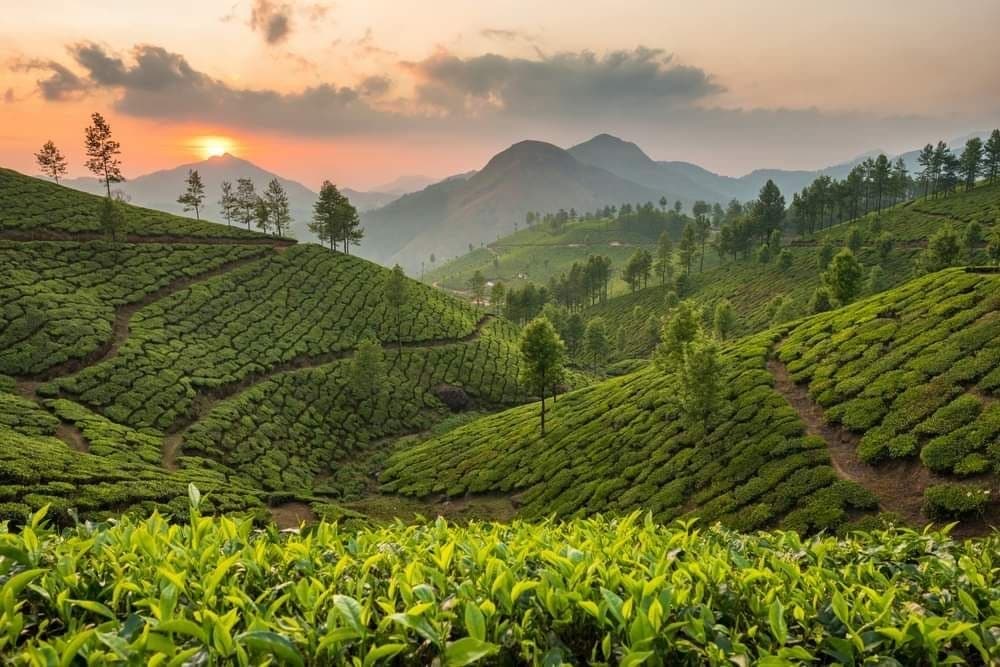 Kerala — God's Own Country Package photo 2